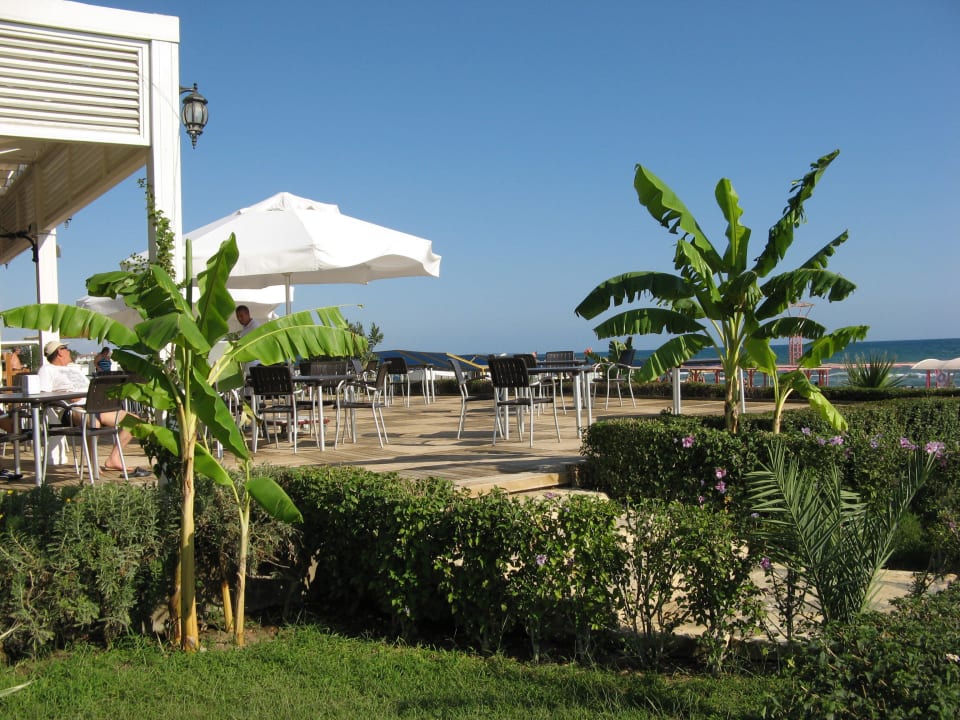 Strandbar Bella Resort & Spa