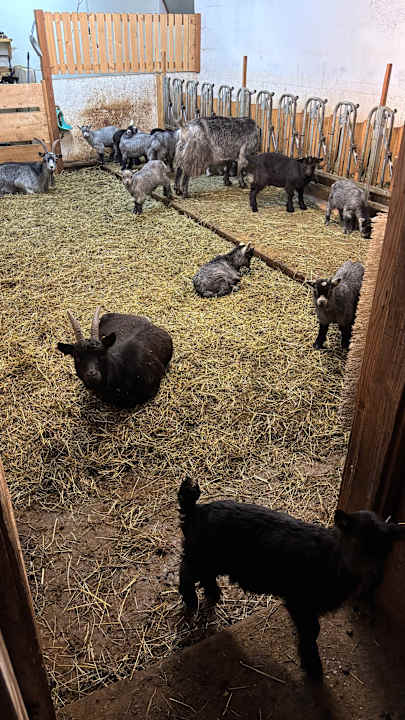 Gartenanlage Mei Puite Appartements