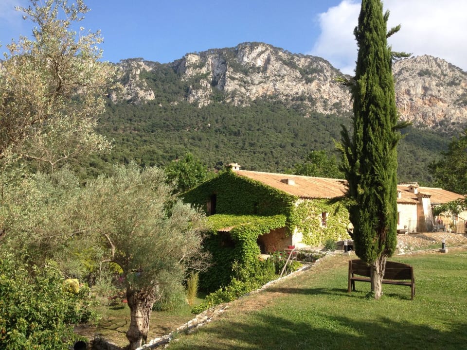 Ausblick Finca Honor Vell