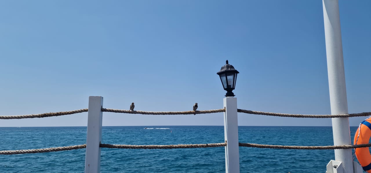 Strand Hotel Botanik Platinum