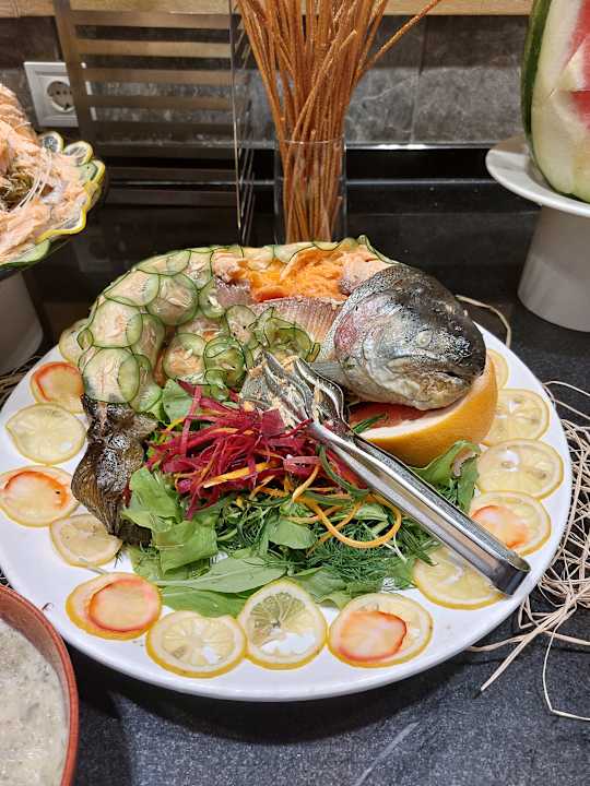 Gastro Seashell Vega