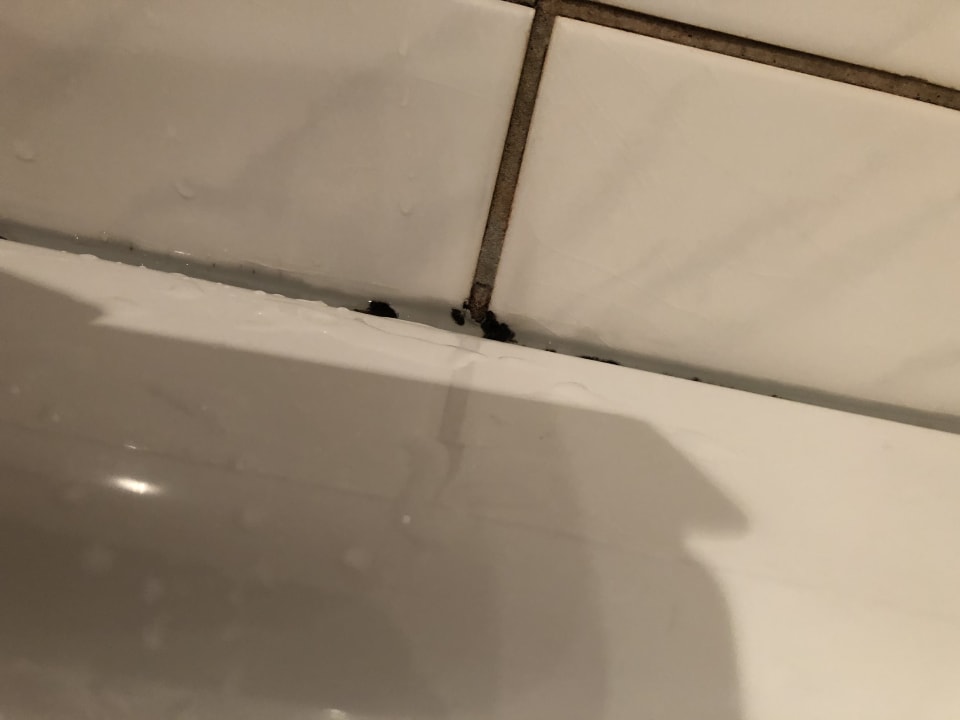 Zimmer Best Western Plus Palatin Kongresshotel