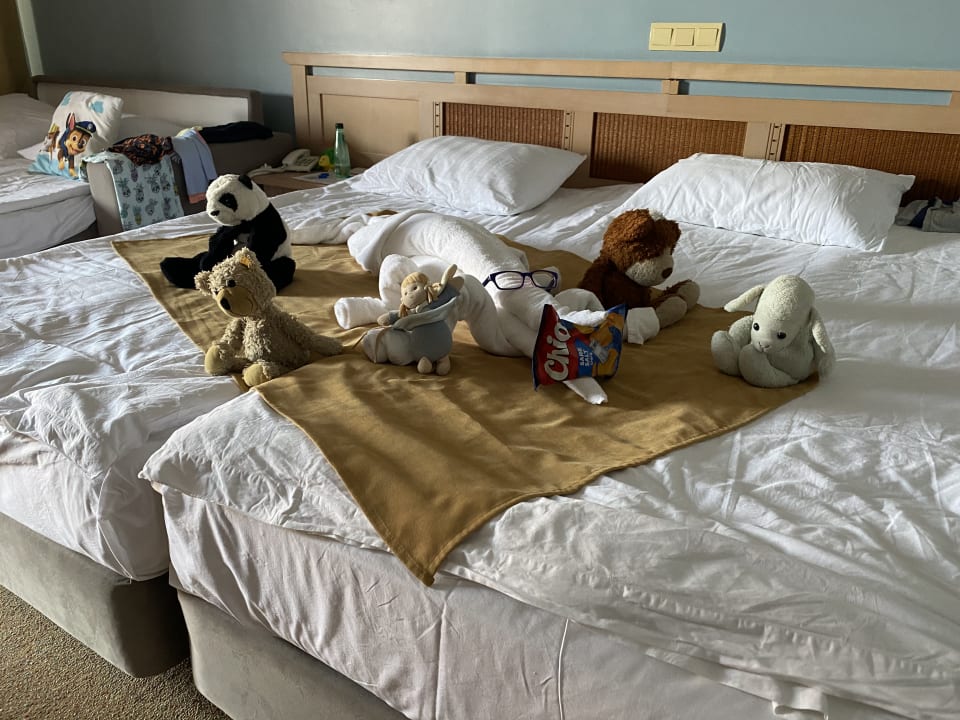 Zimmer HVD Clubhotel Miramar