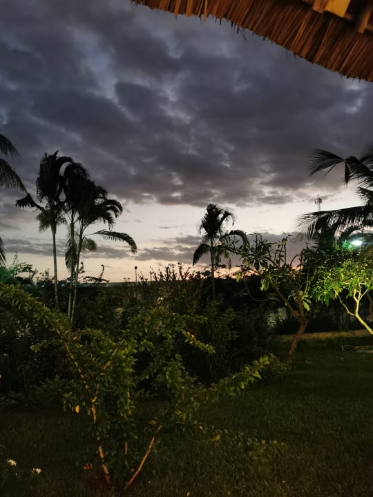 Ausblick TUI Blue Bahari Zanzibar