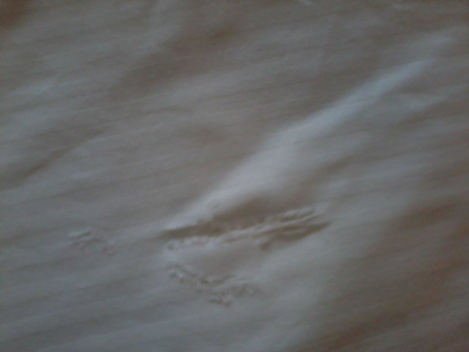 Löcher in der Bettwäsche Strandhotel Ahlbeck