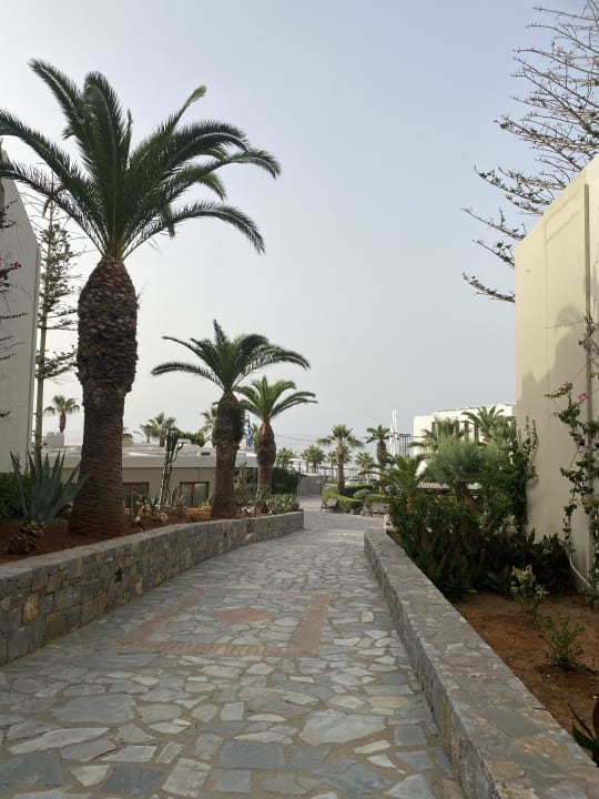 Gartenanlage allsun Hotel Malia Beach