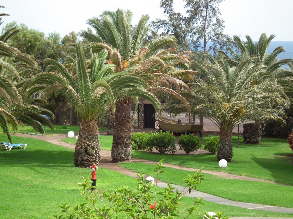 allsun Hotel Esquinzo Beach allsun App.-Hotel Esquinzo Beach