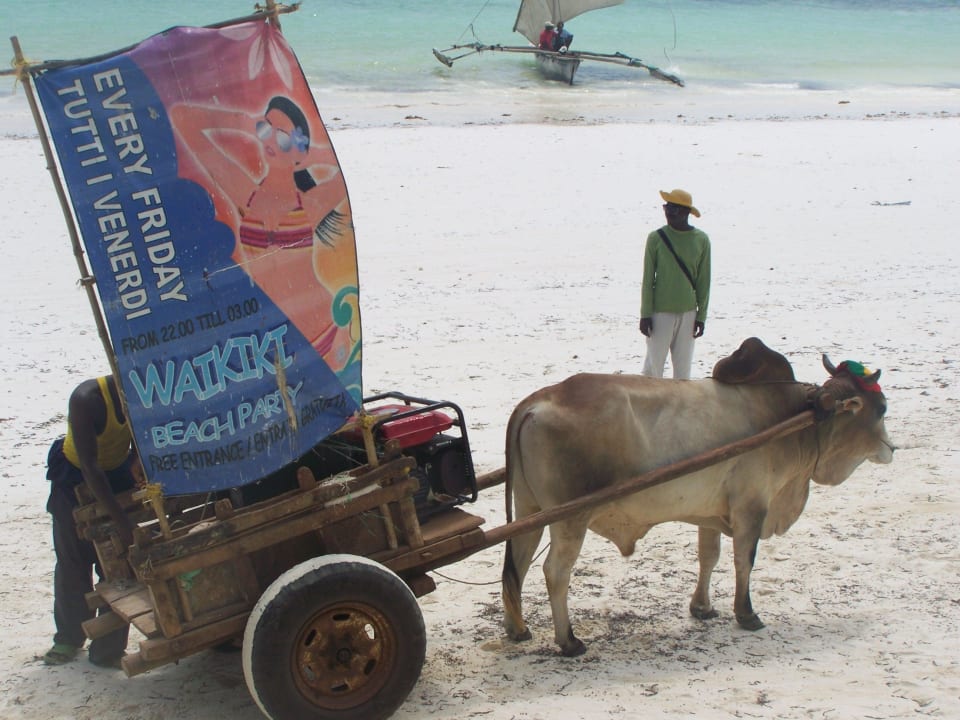 Werbung für die Beachparty im Nachbarhotel Neptune Pwani Beach Resort & Spa