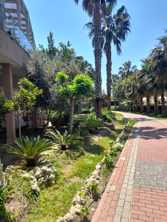 Gartenanlage Seaden Sea World Resort & Spa