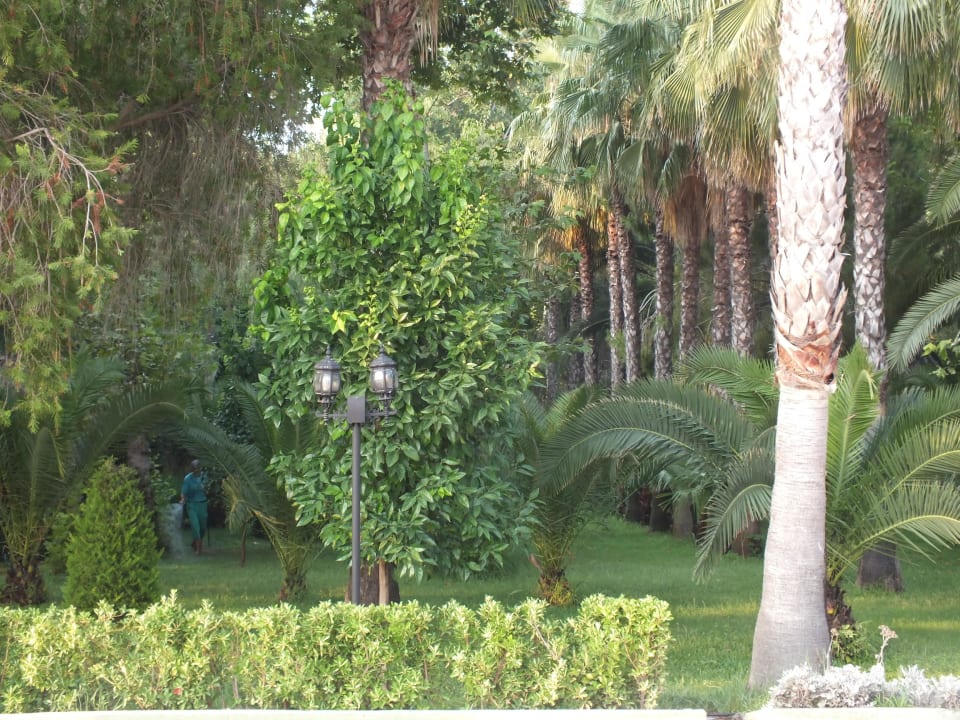 Parkgarten Botanik Hotel & Resort