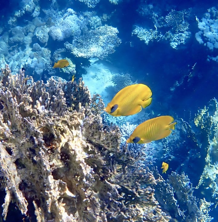 Sport & Freizeit Brayka Bay Resort