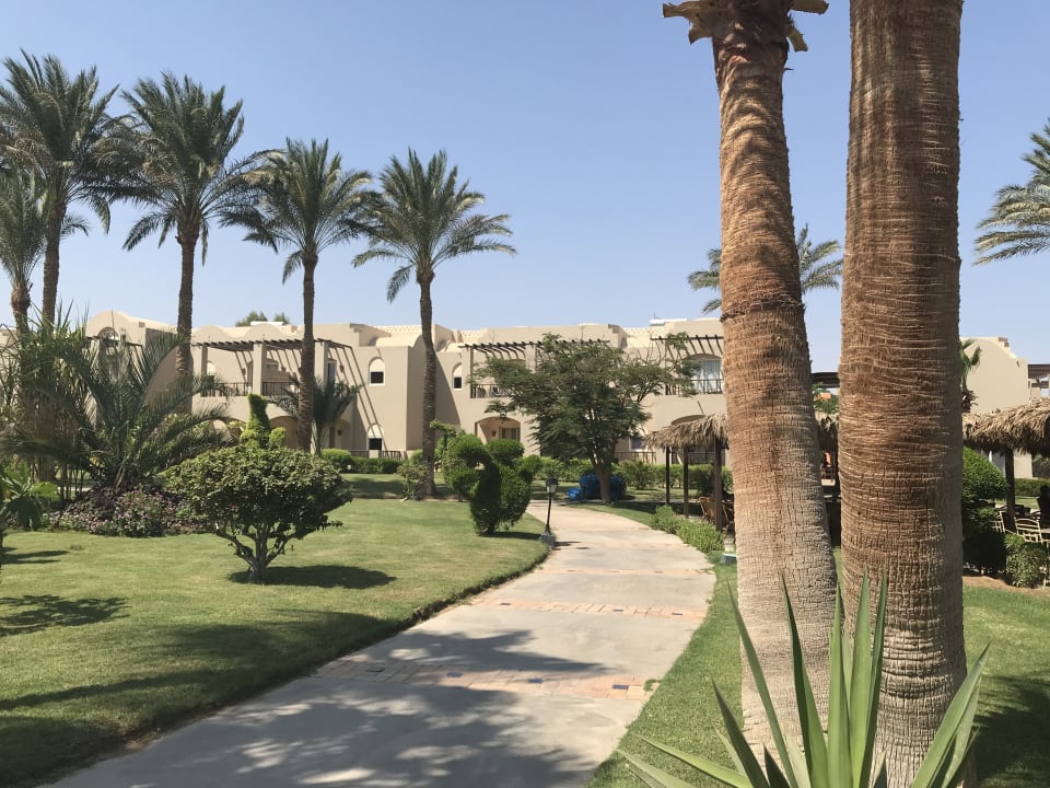 Gartenanlage Jaz Makadi Oasis Resort