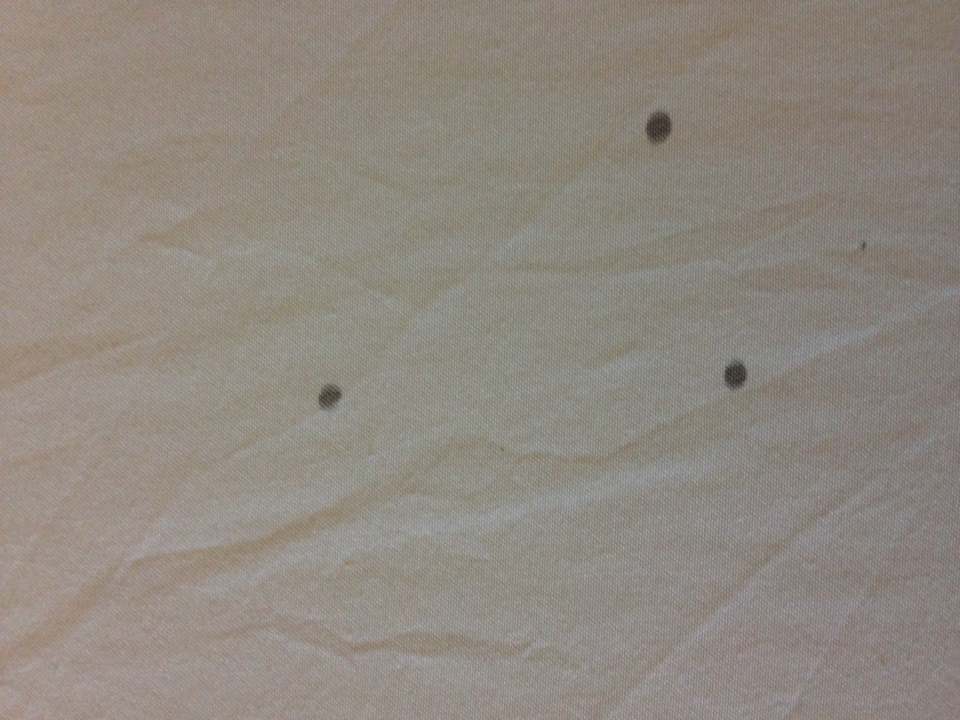 Zimmer Hotel Thongtapan Resort