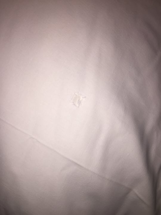 Zimmer Hotel Fränkischer Hof