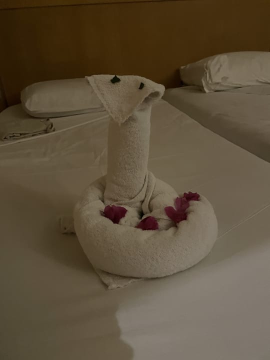 Zimmer Hotel JAZ Makadi Star & Spa
