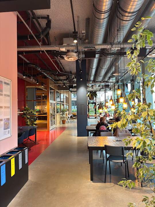 Lobby The Social Hub Groningen