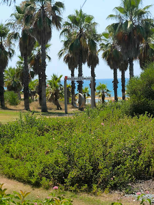 Ausblick Club Grand Aqua