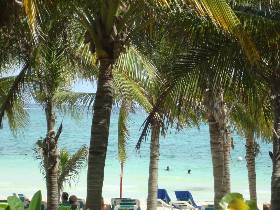 Hotel Catalonia Playa Maroma Catalonia Playa Maroma