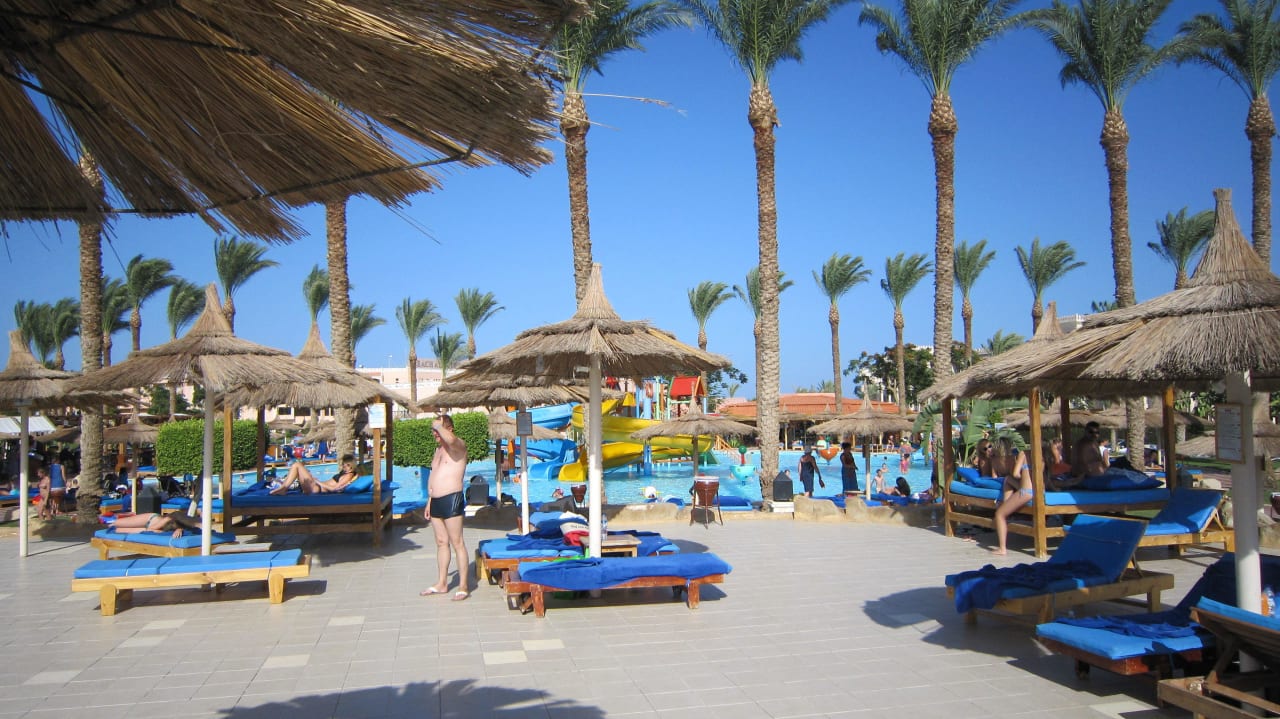 Liegen am großen Pool Beach Albatros Resort