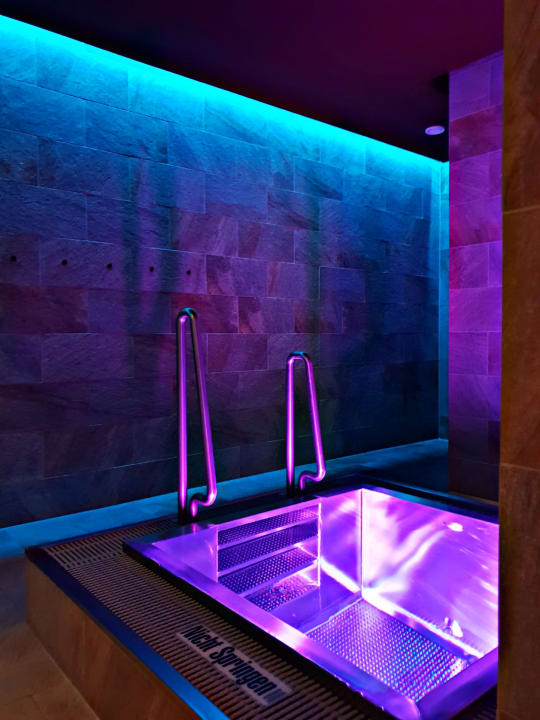 Pool Falkensteiner Hotel Schladming