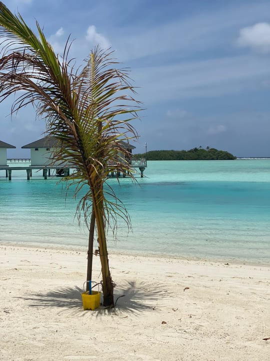 Strand Cinnamon Dhonveli Maldives