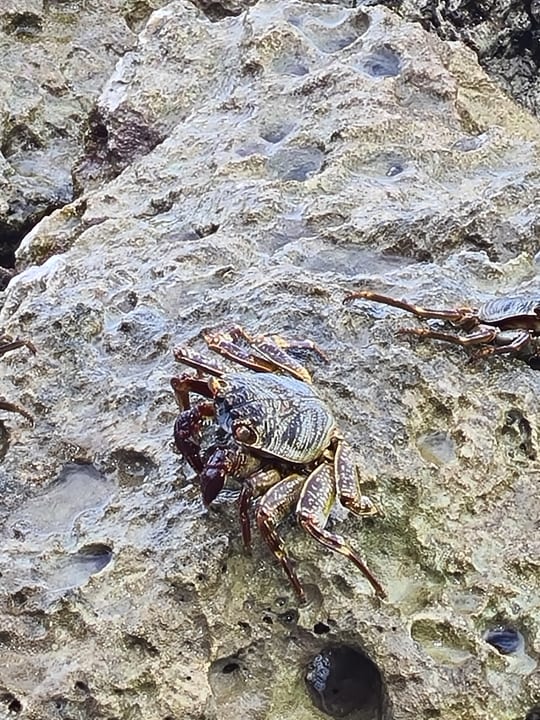 Strand Cinnamon Dhonveli Maldives