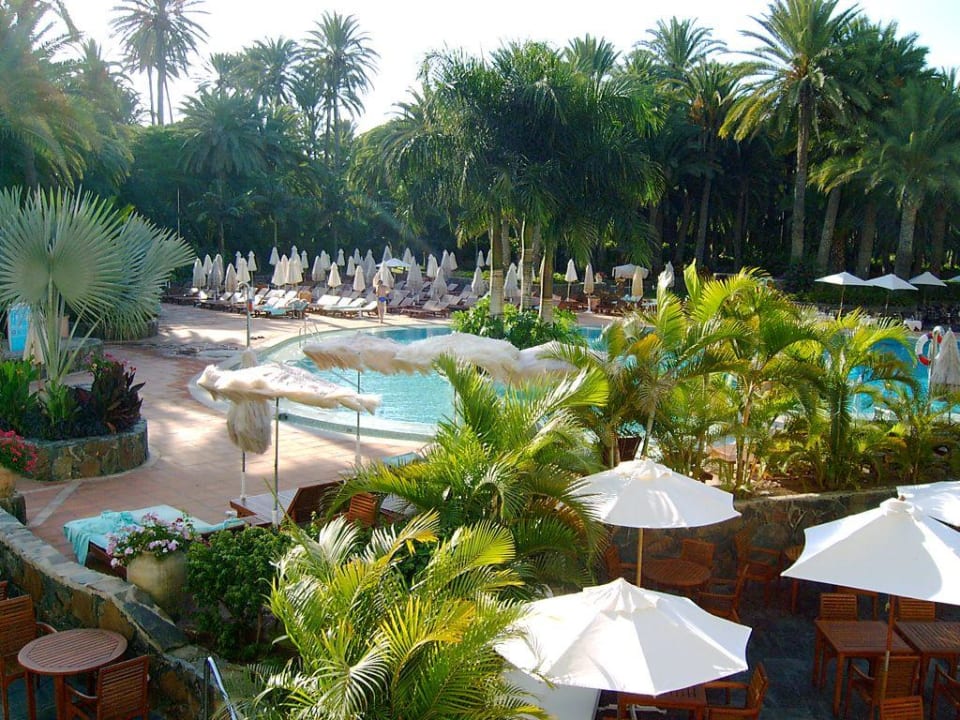 Außenanlage Seaside Hotel Palm Beach