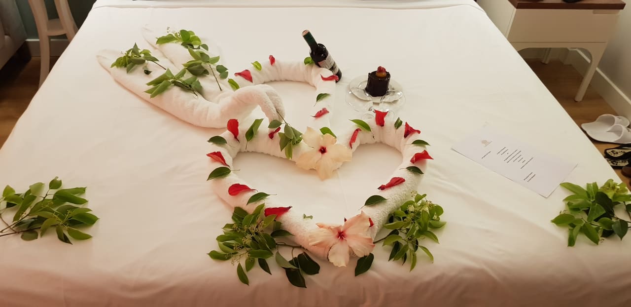 Zimmer Seashell Vega