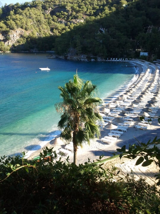 Beach Club Hillside Beach Club