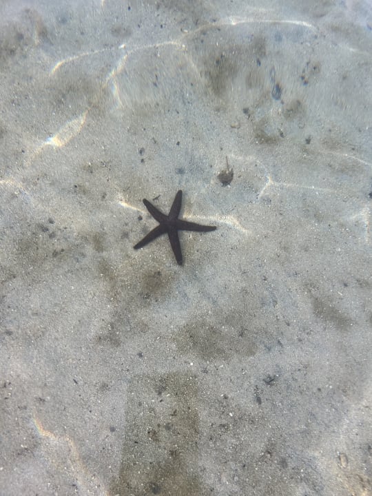 Strand Pearle Beach Resort & Spa