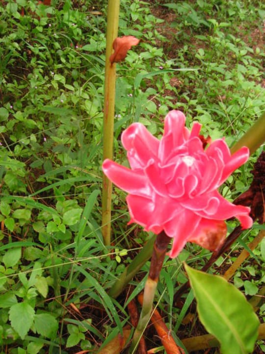 Echte Schönheit Hotel Haadson Resort