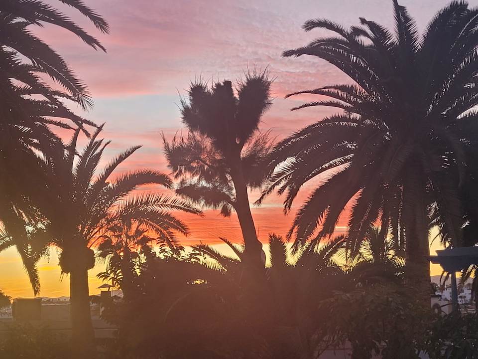Gartenanlage Seaside Hotel Los Jameos