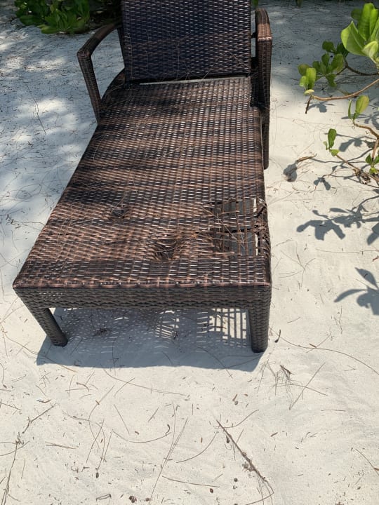 Strand Summer Island Maldives