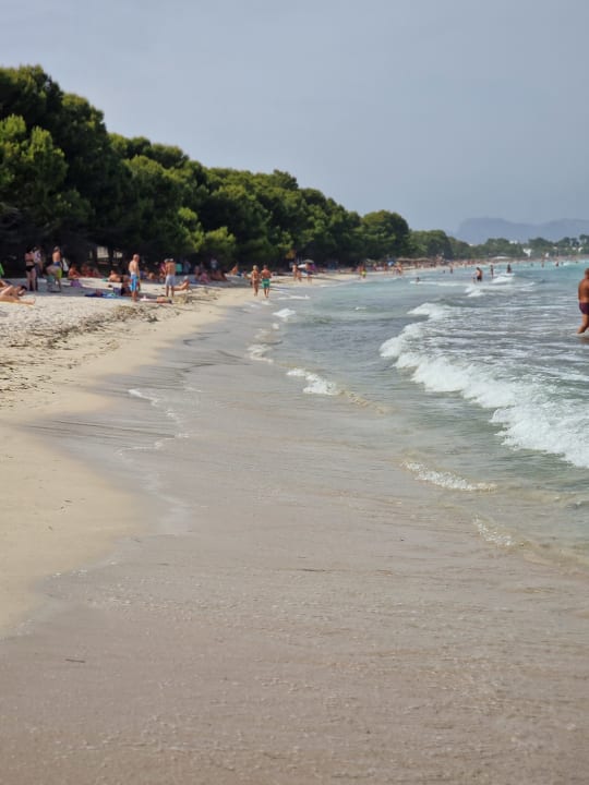 Strand Iberostar Waves Playa de Muro