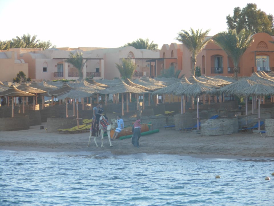 Strand Jaz Makadi Oasis Resort
