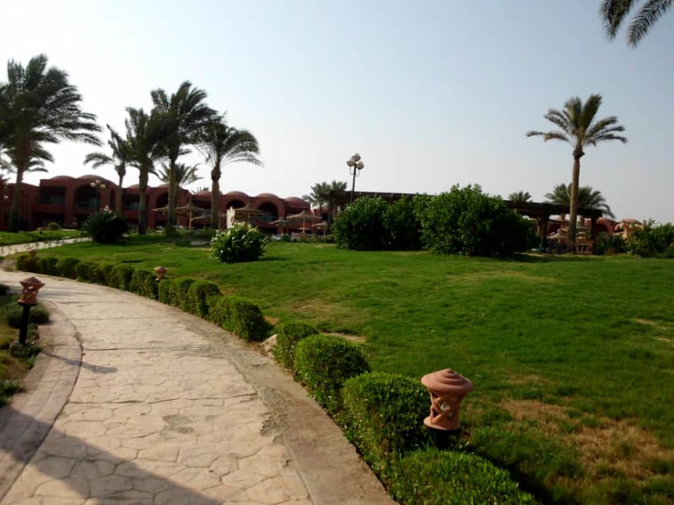 Ogród Swisstouch Oriental Resort Marsa Alam