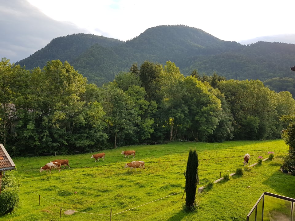 Ausblick Ferienwohnungen Matheishof