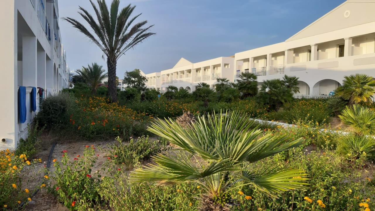 Gartenanlage Sandy Beach Resort