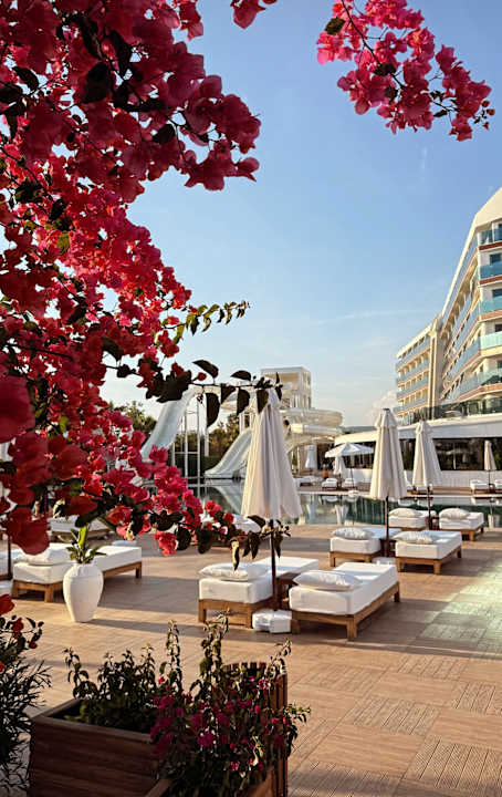 Pool Rubi Platinum Sign