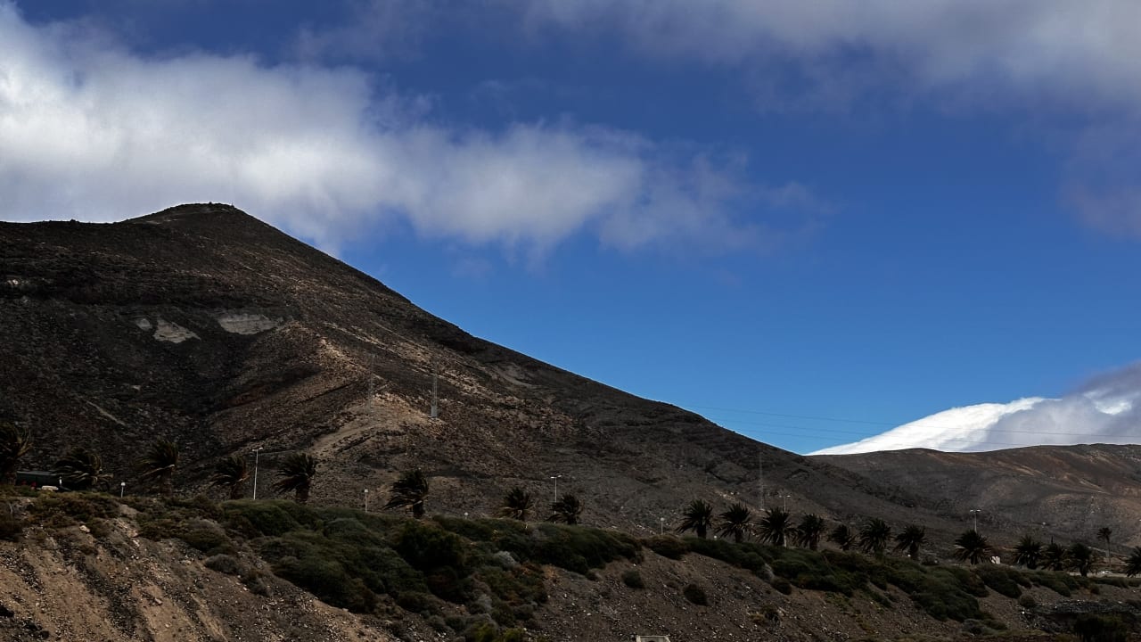 Ausblick allsun App.-Hotel Esquinzo Beach