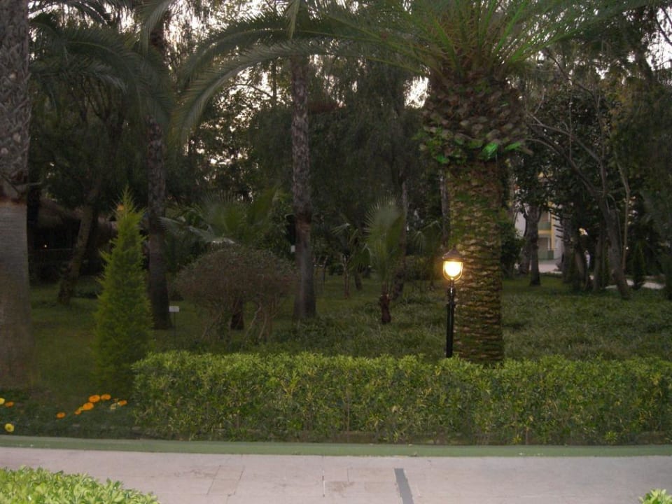 Gartenanlage Botanik Hotel & Resort