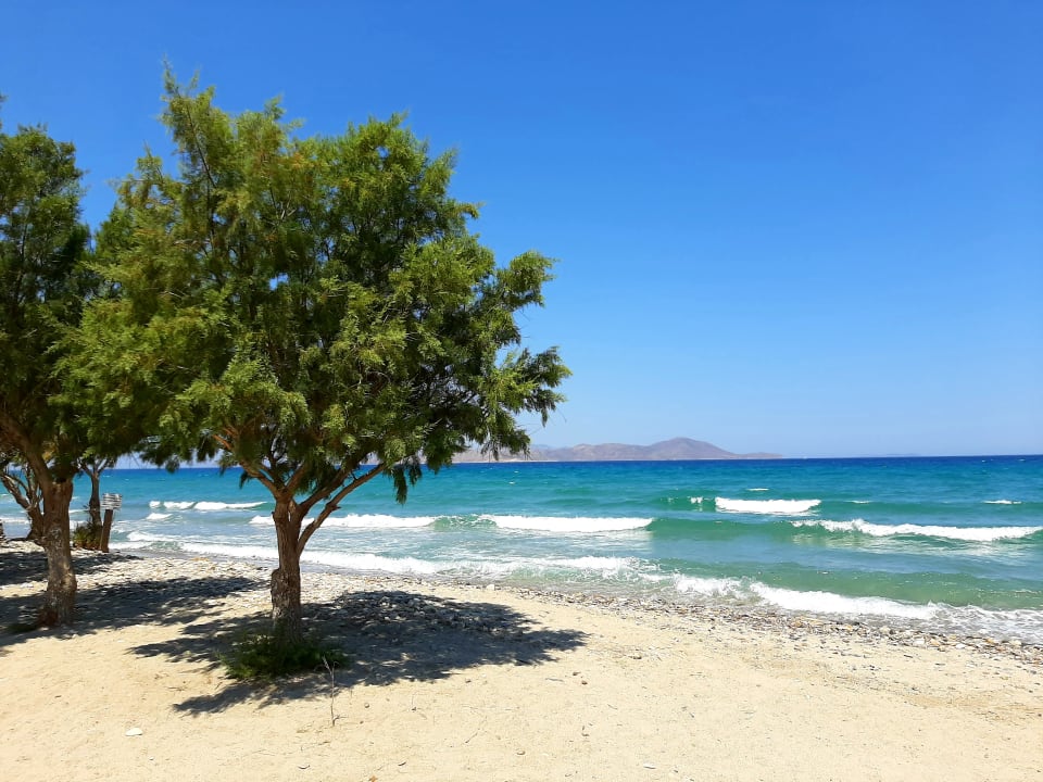 Strand Astir Odysseus Kos Resort & Spa