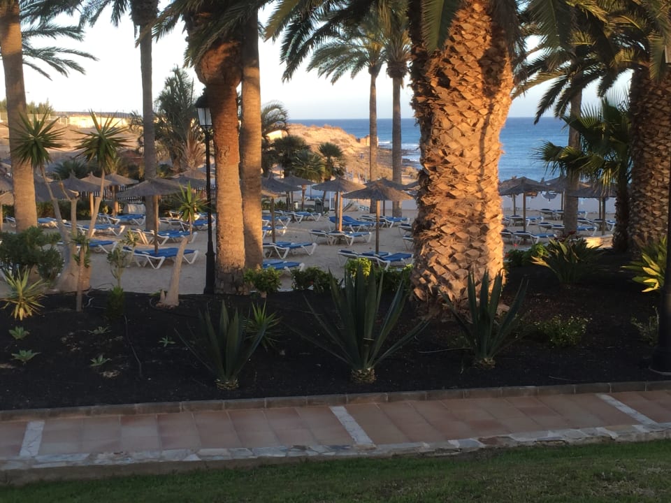 Strand SBH Costa Calma Beach Resort