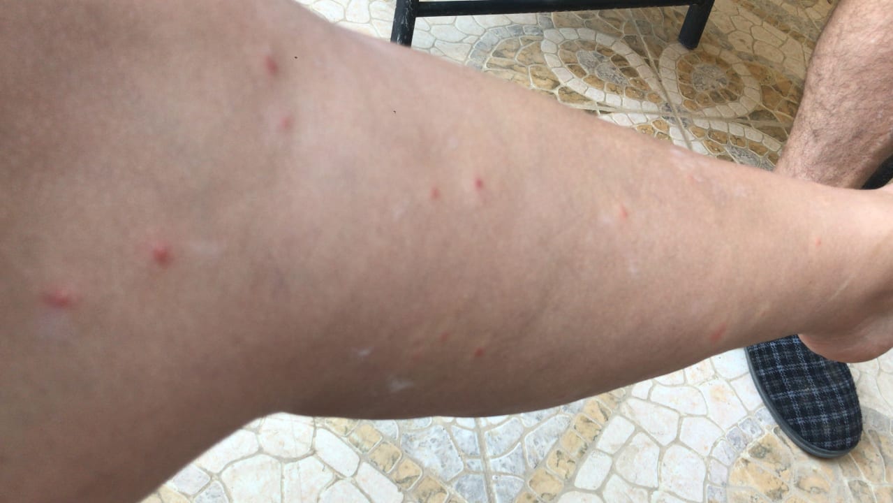 Zimmer Titanic Beach Spa & Aqua Park