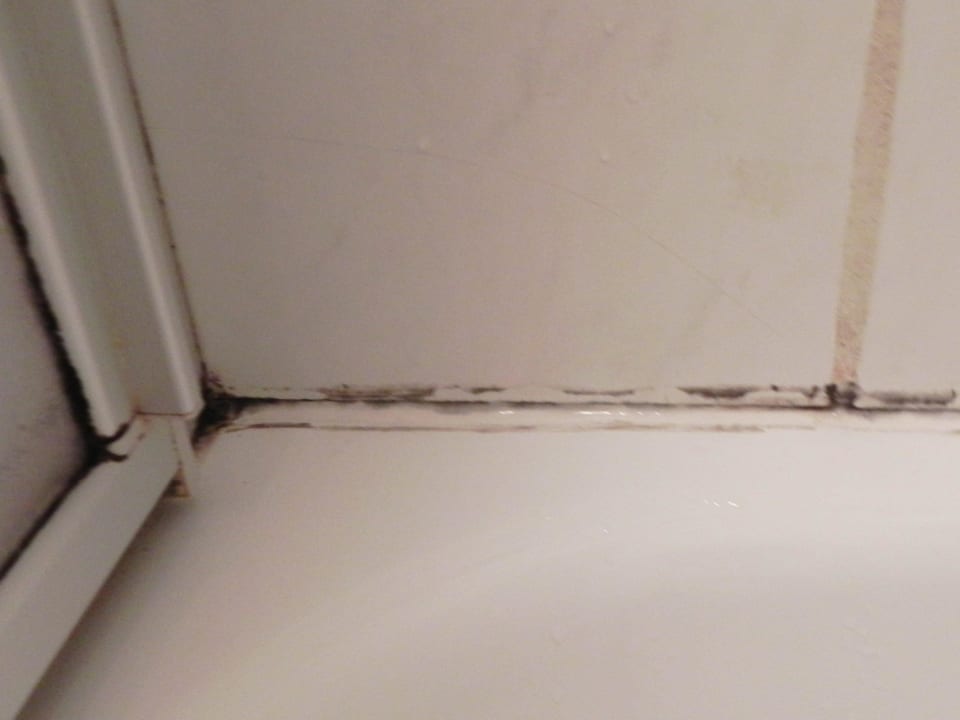 Schimmel im Bad Altwernigeröder Apparthotel