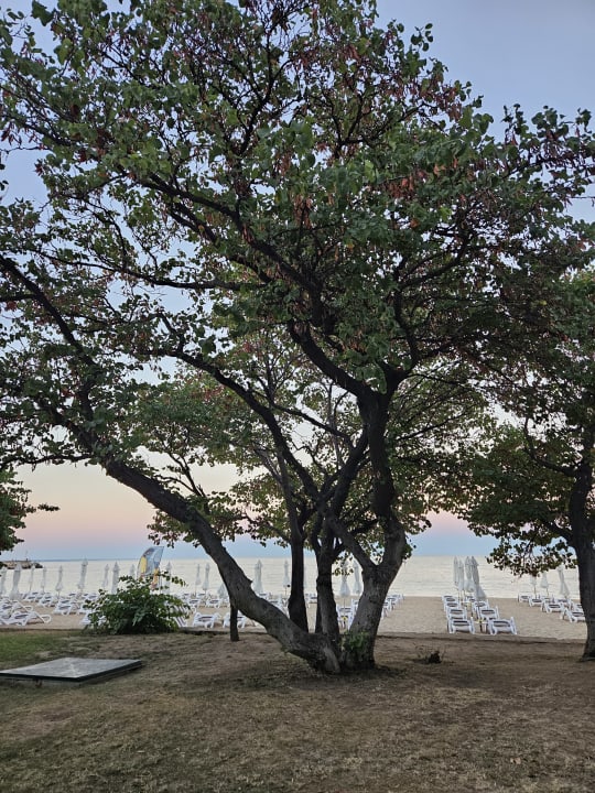 Gartenanlage Sentido Marea