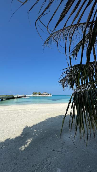 Strand Jawakara Islands Maldives