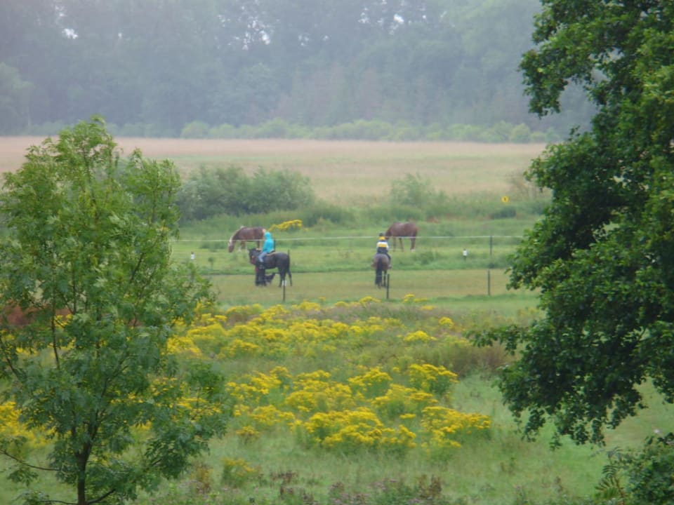 Reitanlage Ferienwohnungen Ferienpark Weissenhäuser Strand