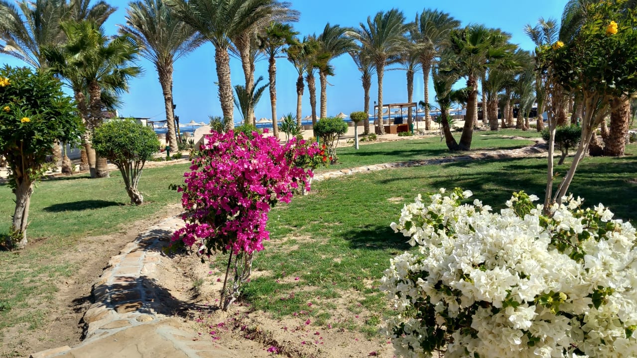Gartenanlage Pensée Royal Garden Beach Resort