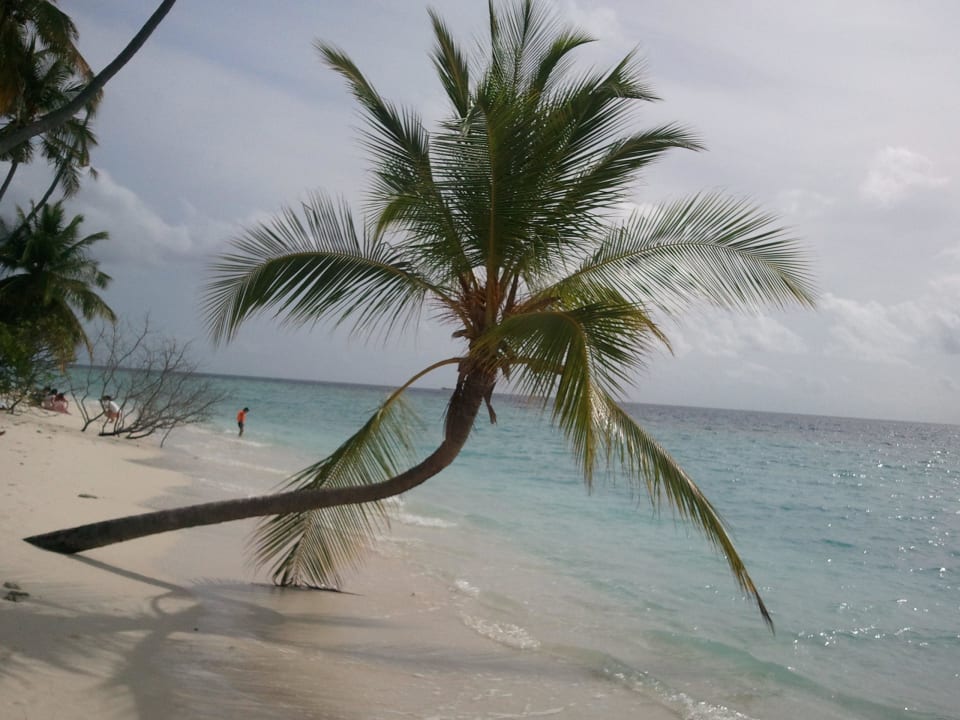 Was kann es Schöneres geben? Filitheyo Island Resort